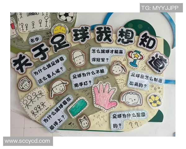弗莱足球的崛起与发展探讨以及对未来足球文化的影响分析